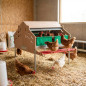 Eco Colectavi Central laying house, for 120 hens, 124x179x133 cm