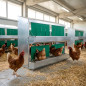 Nido collettivo per galline 2 piani, per 100 galline 118x50x53,5 cm
