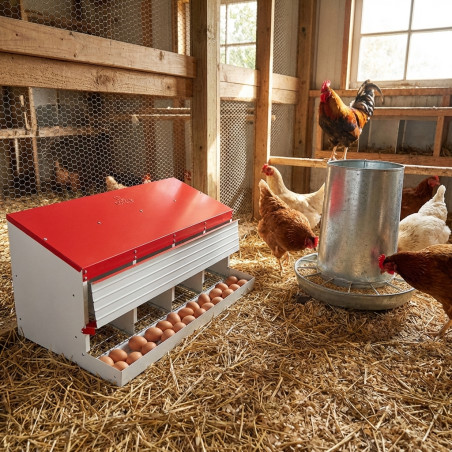Chicken nesting box 4 departments 107x50x44 cm