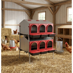 Indoor Nesting Box 12 Departments with Legs 82x96x123 cm, Two Sides