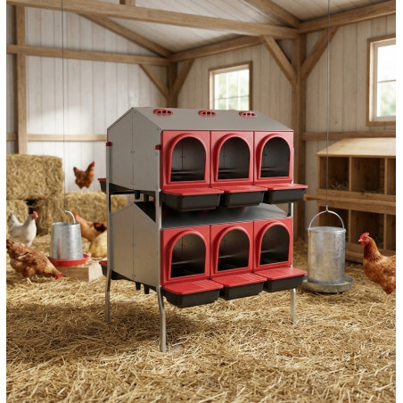 Indoor Nesting Box 12 Departments with Legs 82x96x123 cm, Two Sides