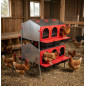 Nichoir à poules Intérieur 12 départements 82x96x123 cm. Pondoir métallique d'intérieur avec pieds