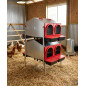 Indoor Nesting Box 8 Departments with Legs 108x48x123 cm, Two Sides