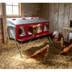 Nichoir à poules Intérieur 4 départements 108x48x77 cm. Pondoir métallique d'intérieur avec pieds