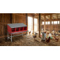 Nichoir à poules Intérieur 4 départements 108x48x77 cm. Pondoir métallique d'intérieur avec pieds