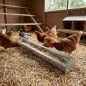 Mangeoire à poulets en tôle galvanisée 100x10x13 cm