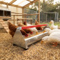 Galvanized sheet chicken feeder 50x10x13 cm