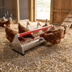 Mangeoire pour poulets de chair en acier inoxydable 61x19x19,5 cm