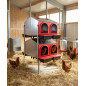Indoor Nesting Box 8 Departments with Legs 108x48x123 cm, Two Sides