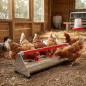 Comedouro para frango em aço inox 122x19x19,5 cm