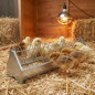 Metal chick feeder 50 cm | Narrow grid | Feeding channel | Ideal for first-stage chicks | Multiple access | Poultry use