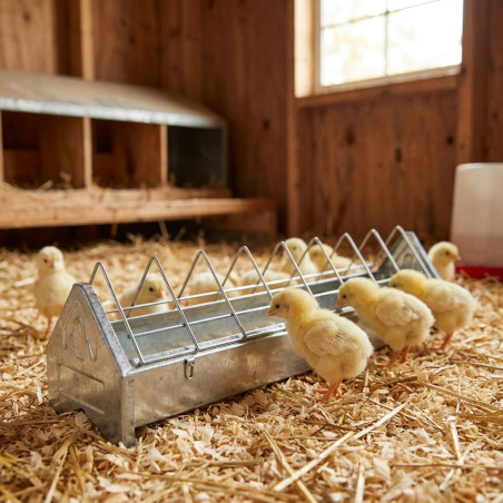 Mangeoire Métallique pour les Poussins 50 cm, Mangeoires de poule linéaires en tôle galvanisée avec grille large