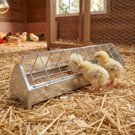 Mangeoire Métallique pour les Poussins 100 cm, Mangeoires de poule linéaires en tôle galvanisée avec grille large