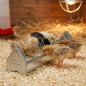 Mangeoire Métallique pour les Poussins 100 cm, Mangeoires de poule linéaires en tôle galvanisée avec grille large