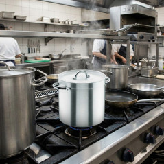 Lacor 24cm Stainless Steel Pot with Lid | Straight Pot with Matte Finish | Suitable for Ceramic, Electric, and Gas Hobs | 10L Ca