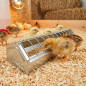 Mini mangiatoia in metallo per pulcini 50x7,5x7 cm | Mangiatoia resistente per pulcini e piccoli uccelli