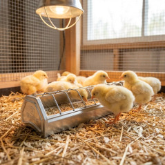 Mini Metal Chick Feeder 30x7.5x7 cm