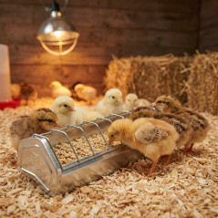 Mini Metal Chick Feeder 30x7.5x7 cm