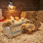 Mangeoire à poussins en métal 30x7,5x7 cm