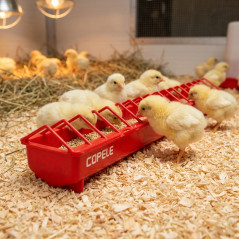 Chargeur en Plastique pour les Poulets 100 cm, Mangeoire en plastique pour poussins grille étroite