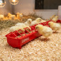 Plastic feeder for chicks 100 cm narrow grid