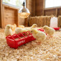 Plastic feeder Chicks 50 cm Narrow Grid