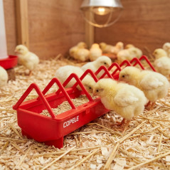 Plastic chick feeder 80 cm | Narrow grid | 1st stage | Trough | Multiple access | Anti-perching | Prevents waste