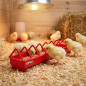 Plastic chick feeder 80 cm | Narrow grid | 1st stage | Trough | Multiple access | Anti-perching | Prevents waste