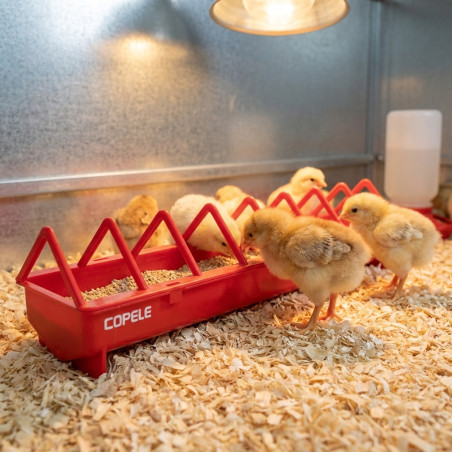 Comedouro de plástico para pintinhos, 50 cm, grade larga