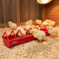 Plastic feeder Chicks 50 cm Wide Grid Plastic feeder Chicks 50 cm Wide Grid