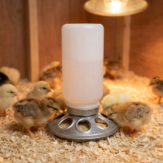 Mangeoire en feuilles pour poussins 0,6 Kg, 15x24cm