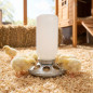 Chick sheet feeder 0.6 Kg, 15x24cm Chick sheet feeder 0.6 Kg, 15x24cm
