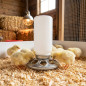 Chick sheet feeder 0.6 Kg, 15x24cm Chick sheet feeder 0.6 Kg, 15x24cm