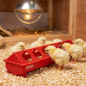 Plastic Chick Drinker Feeder with Holes 50 cm Plastic Chick Drinker Feeder with Holes 50 cm