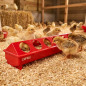 Comedero Bebedero plastico Gallinas Pollos con Huecos 100 cm | Comedero Aves de Corral  | Comederos para Granja