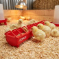 Plastic feeder Chicks 100 cm Wide Grid Plastic feeder Chicks 100 cm Wide Grid