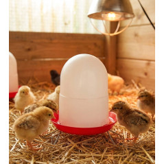 Feeder for 1st age chicks 1.5 Kg with legs, 19x20cm, red
