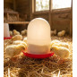 Comedero Pollitos Con Patas 1ª edad | 1,5 L | 19x20 cm | Plástico resistente | Control nivel pienso | Antiposado | Rojo