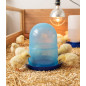 Mangeoire pour poussins 1er âge 1,5 Kg, 19x20cm, bleue