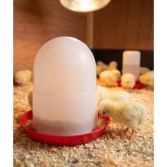 Feeder for 1st Age Chicks 1.5 Kg without Legs, 19x20cm, Red