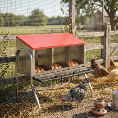 Chicken nest 3 departments 82x47x77 cm with legs