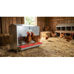 Mangeoire pour poulets à ouverture mécanique sécurisée 50 kg, 50x71x60 cm