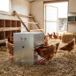 Mangeoire pour poulets à ouverture mécanique sécurisée 50 kg, 50x71x60 cm