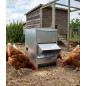Comedero tolva gallinas 6 kg | Exterior | Visera regulable | Protección lluvia | Tapa abatible