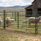 Clôture agricole galvanisée 2 x 1 m | Panneau pour enclos | Clôture portable pour agneaux et animaux de ferme