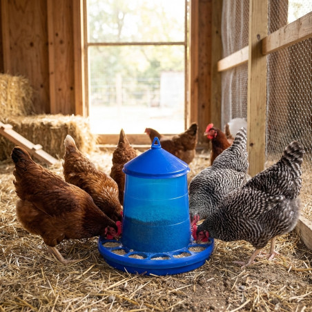Tolva comedero plástico gallinas 16 Kg, 46x46x63 cm, azul