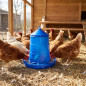 Tolva Comedero para Aves y Gallinas | 16 kg Capacidad | 46x46x63 cm | Plástico Resistente | Color Azul