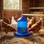 Mangeoire en plastique pour poules 12 Kg, 46x46x50 cm, bleu