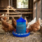 Hopper Feeder for Poultry and Chickens | 8 kg Capacity | 37x37x45 cm | Durable Plastic | Blue