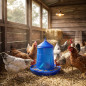 Hopper Feeder for Poultry and Chickens | 8 kg Capacity | 37x37x45 cm | Durable Plastic | Blue